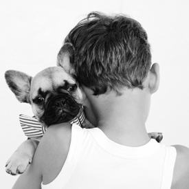 donate to support Sheltering Animals & Families Together